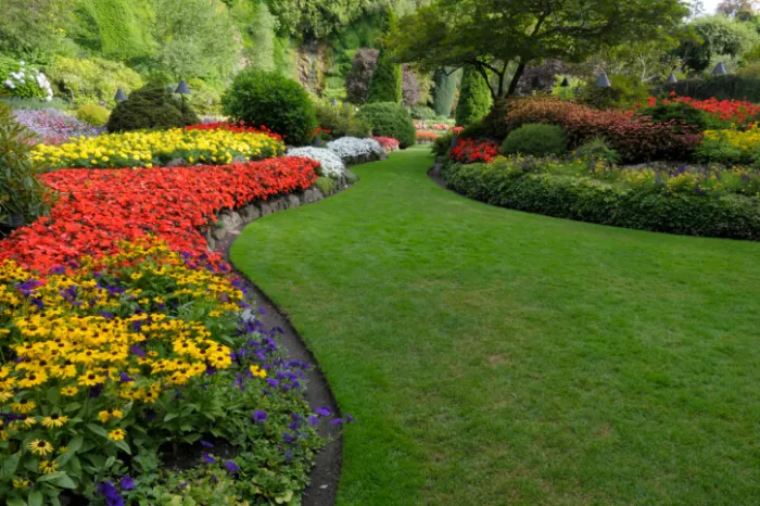 Caleb Hackler Yard and Landscaping's Other Services