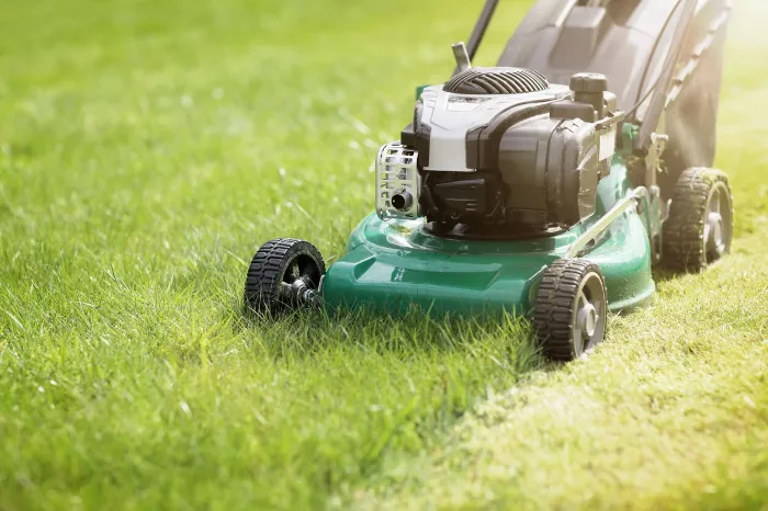 Lawn Cutting Service