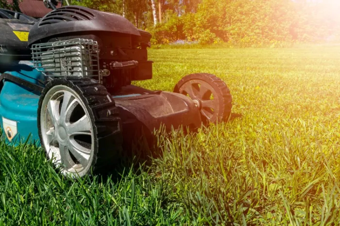 Residential Lawn Care